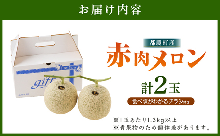 先行予約≪期間限定≫都農町産「赤肉メロン」計2玉 フルーツ 果物 デザート 国産_T015-006-F【人気 メロン ギフト メロン くだもの メロン  果実 メロン  贈り物 メロン  お土産 メロ