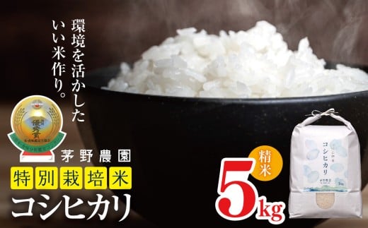 * 【令和7年度産先行予約】コシヒカリ 5kg 特別栽培米  | 米 こめ コメ お米 白米 はくまい 精米 コシヒカリ 特別栽培米 栽培米 優秀賞 金賞 長野県 松川村 信州