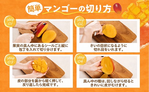 《2026年発送先行予約》【数量・期間限定】完熟マンゴー4L×2玉定期便　全4回 フルーツ 果物 定期便