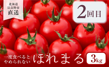 【年4回定期便】【2024年7～10月お届け】富良野直送！ 旬のメロン＆野菜 厳選４農家 スペシャルコラボ 計４種 大満足定期便 (メロン ミニトマト とうもろこし たまねぎ 北海道 富良野市 果物 