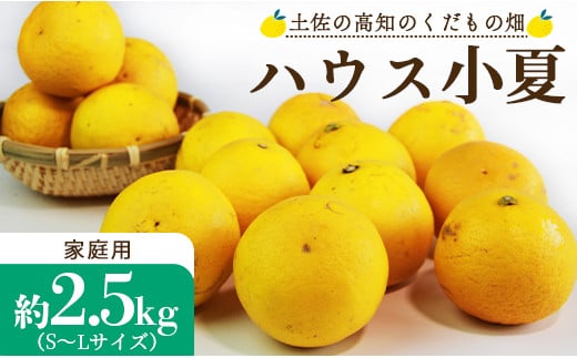 ハウス小夏2.5kg(家庭用) 高知 土佐 こなつ 果物 フルーツ 土佐の高知のくだもの畑 【先行予約】 - 家庭用 訳あり 小夏 ハウス ミカン みかん 蜜柑 柑橘 果物 フルーツ こなつ のし対応可 熨斗 国産 kd-0012