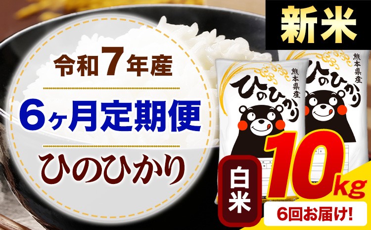 
            【6ヶ月定期便】新米 令和7年産 白米 ひのひかり 定期便 10kg《お申し込みの翌月から出荷》熊本県産 ふるさと納税 精米 ひの 米 こめ ふるさとのうぜい ヒノヒカリ コメ お米
          