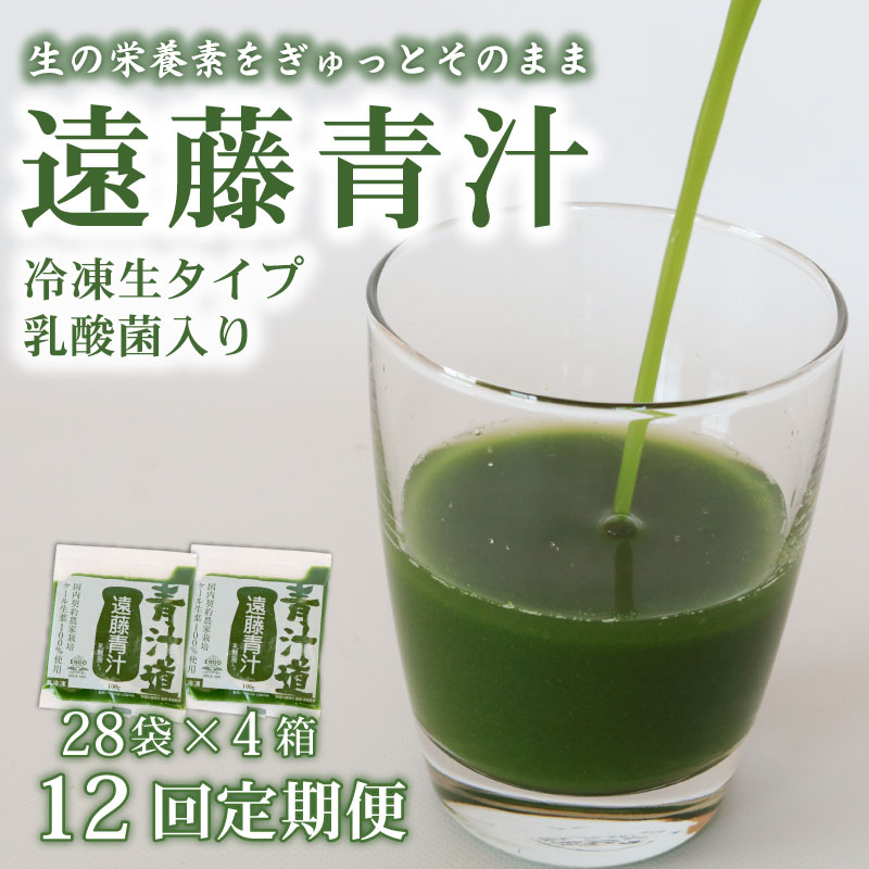 【ふるさと納税】 12ヶ月 定期便 遠藤青汁 生 冷凍 4箱 11.2kg 100g 112袋 健康 美容 乳酸菌 国産 ケール ビタミン ミネラル 食物繊維 冷凍 ロングセラー お試し青汁 遠藤青汁 新鮮 高知県 南国市