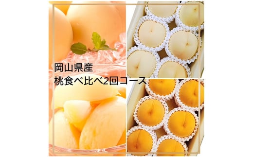 Fg-8【令和8年発送・先行予約】岡山県産 桃食べ比べ全2回コース