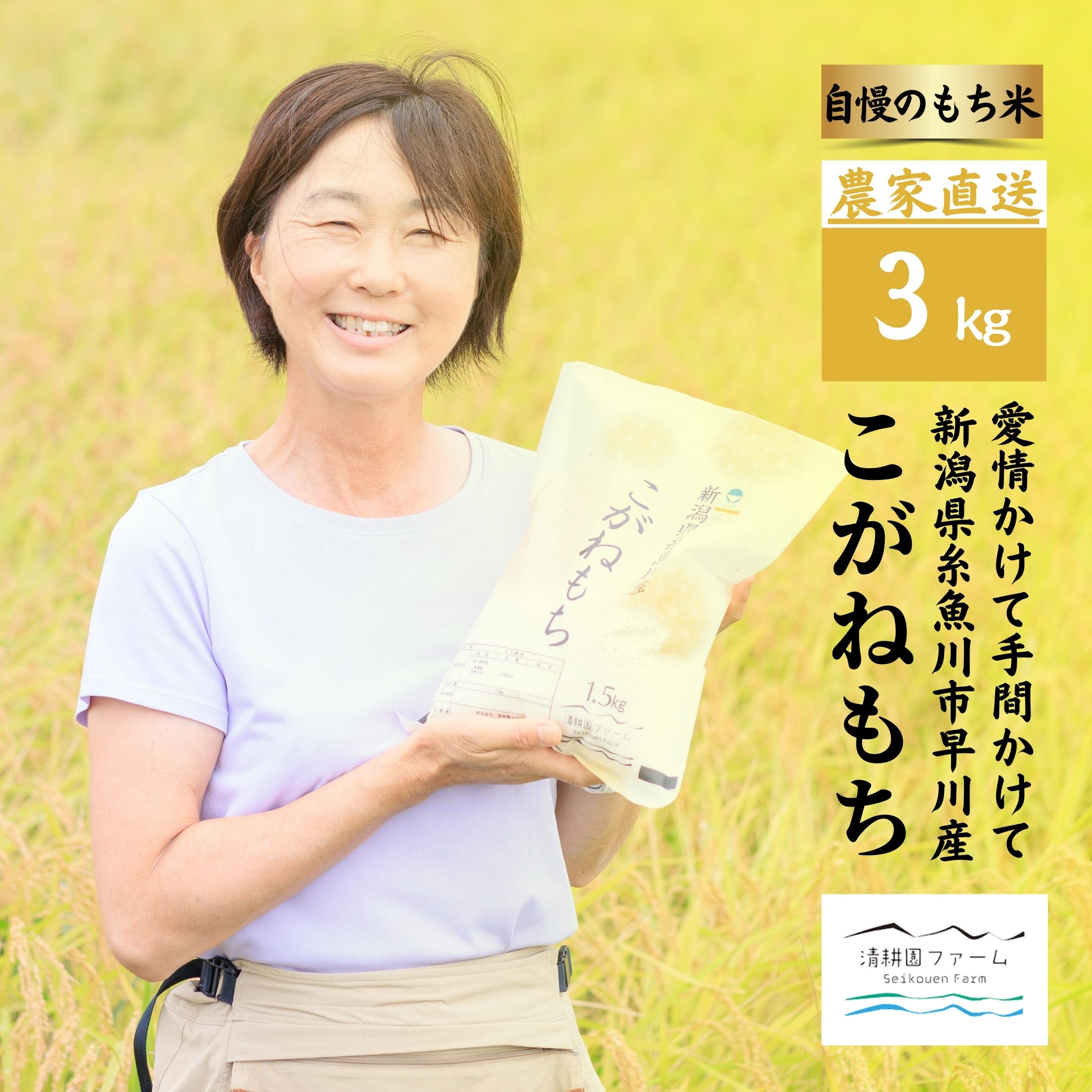 【ふるさと納税】新米 もち米新潟県 糸魚川産 『こがねもち』3kg（2升）令和7年産 つやつや ふっくら モチモチ もち米ならではの芳醇な香り 清耕園ファーム お正月 餅 赤飯 おこわ 美味しい 糸魚川 新潟米 農家自慢 2025年