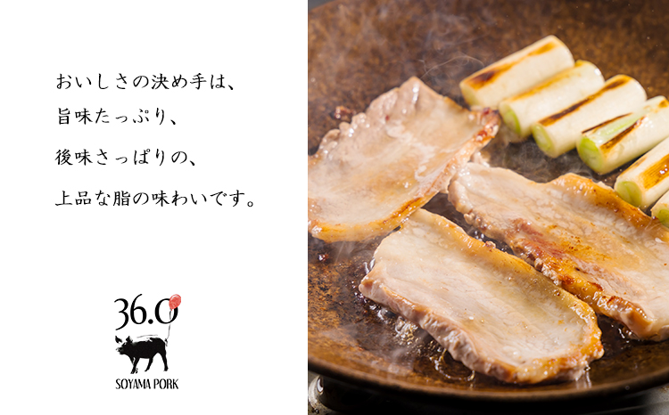 ソヤマポークの焼肉・炒め物セットTF863-P00078