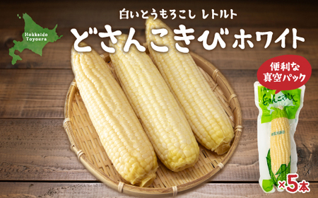 どさんこきびホワイト5本 北海道産 【 ふるさと納税 人気 おすすめ ランキング 野菜 その他野菜 とうもろこし トウモロコシ 国産 ホワイト 白い 大容量 おいしい 美味しい 甘い 北海道 豊浦町 送料無料 】 TYUO053