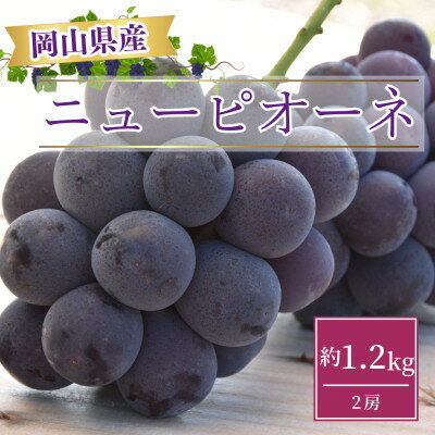 【ふるさと納税】【2026年発送】岡山県産ニューピオーネ約1.2kg(2房)_ 果物 フルーツ デザート スイーツ ぶどう 葡萄 大粒 種なし 岡山県 津山市 送料無料 贈答 ギフト 【配送不可地域：離島】【1413100】