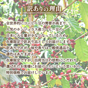 【中深煎り】 訳あり コーヒー豆 1kg ( 500g × 2袋 ) ホンジュラス ( コーヒー 珈琲 コーヒー豆 出荷当日 自家焙煎 数量限定 スペシャルティコーヒー ホンジュラスコーヒー コーヒー