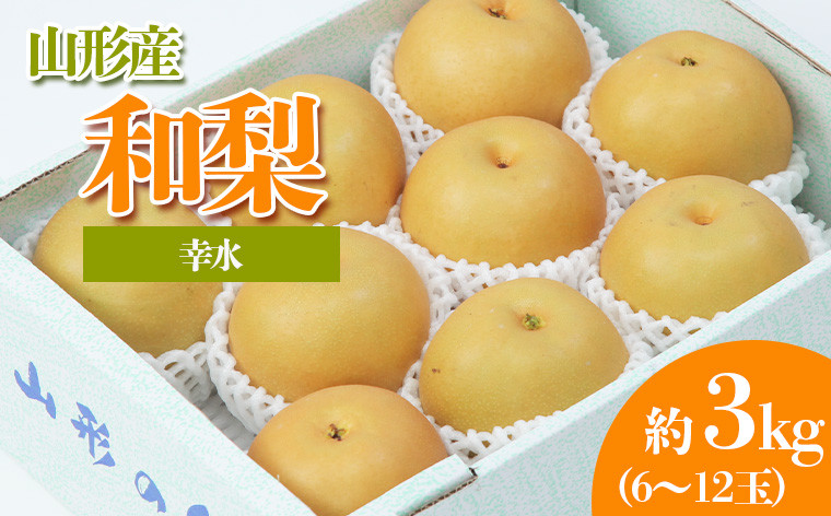 
            やまがたの和なし (幸水) 秀品 約3kg(6～12玉程度) 【令和7年産先行予約】FS23-814 くだもの 果物 フルーツ 山形 山形県 山形市 2025年産
          