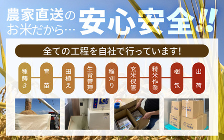 【先行予約】【令和8年産・新米】【農家直送定期便 3ヶ月コース】本原農園のまごころコメたコシヒカリ 10kg × 3回 計30kg（玄米）【2026年10月上旬以降順次発送】 [G-8911_02]