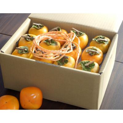 ふるさと納税 かつらぎ町 吊るし柿用 生渋柿 ひもセット 約20〜30個、約4.5〜5kg【10月下旬〜11月上旬発送予定】