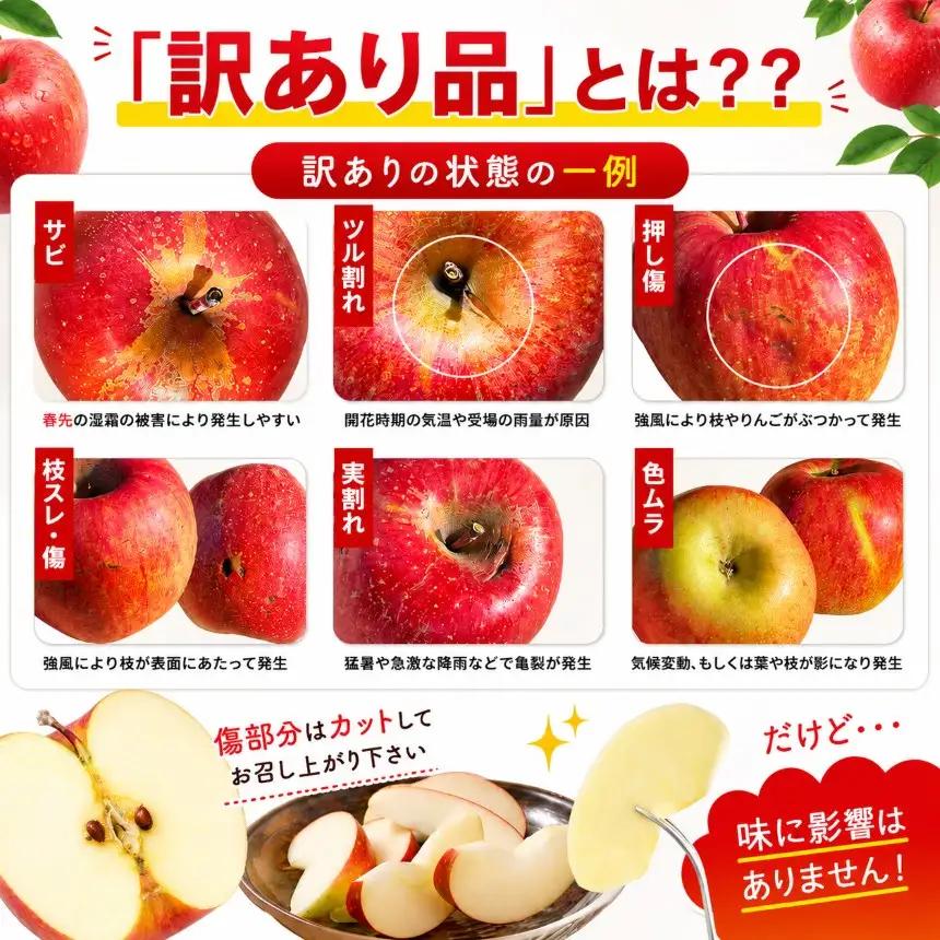 りんご 訳あり サンふじ 5kg 樹上完熟・葉とらず栽培 「すっぴんりんご」 | 果物 産地直送 栃木県矢板市産