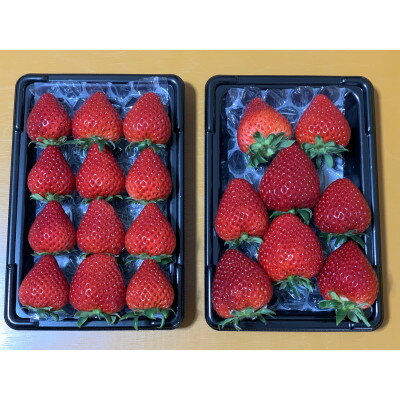 【ふるさと納税】【希少あまりん】2パック(500g) 朝採れ!【配送不可地域：離島・北海道・沖縄県・中国・四国・九州】【1574089】