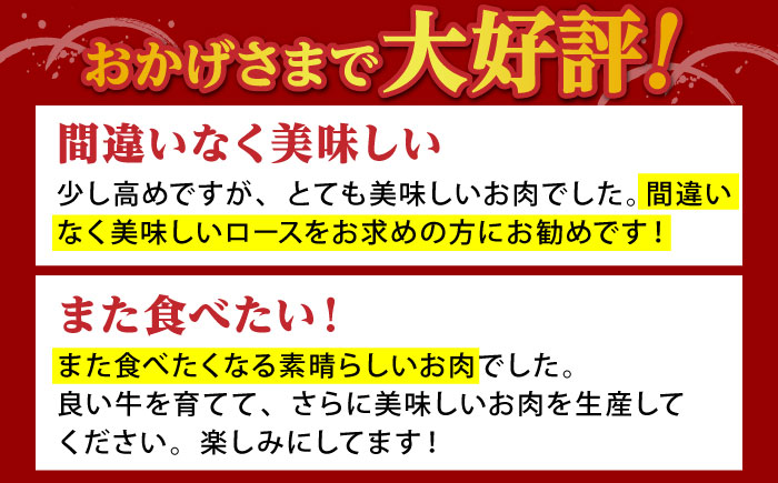【霜降り A5ランク】佐賀牛 肩ロース スライス 500g（すき焼き用）【山下牛舎】 [HAD042]