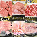 【ふるさと納税】飛騨牛　安八町プレミアム定期便（偶数月にお届け）　【定期便・ お肉 牛肉 国産 お家焼肉 シャトーブリアン ロース ヒレ 赤身 ヒレ サイコロステーキ 肩ロース すき焼き用 サーロイン ステーキ 】