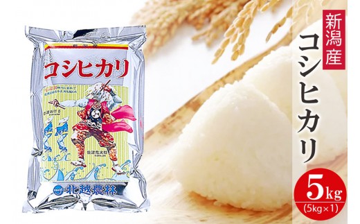 
                  【令和7年産】新潟産コシヒカリ 5kg 精米 白米
                