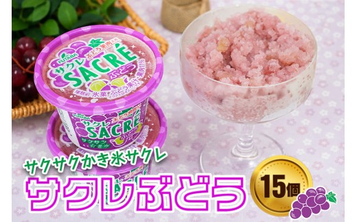 フタバ食品　アイス15個　サクレぶどう満足セット/人気返礼品 フタバ食品 福袋 スイーツ デザート 大容量 プレミアム 人気 お取り寄せ 限定品 オリジナル 食べ比べ 詰め合わせ 氷菓子 ぶどう 大人におすすめ 子供 おやつ 夏 ひんやり 一押し