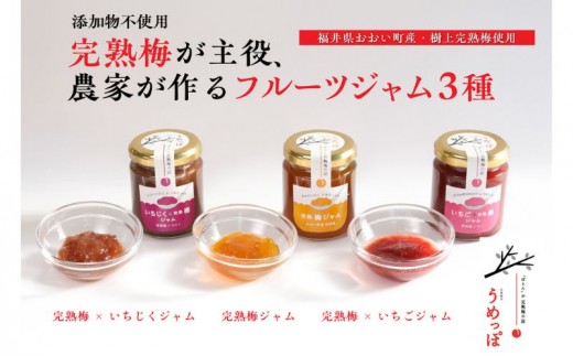 
                  おおい町産完熟梅と地域の果実で作ったすっきり美味しいジャム3種セット
                