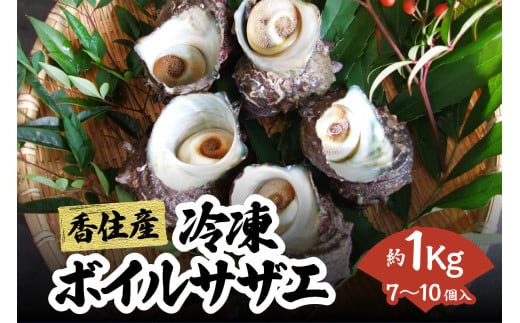 【兵庫県香住産 ボイルサザエ　約1kg（7～10個） 冷凍】※発送目安：ご入金確認後、順次発送予定 国産 さざえ 栄螺 海鮮 新鮮 鮮度抜群 酒の肴 おつまみ おかず 磯 加熱済み 簡単 手軽に味わう磯の香り コリコリ食感 香住の海の恵み 夏休み BBQ バーベキュー キャンプ お盆 海 海水浴 日本海 ふるさと納税 おすすめ 返礼品 兵庫県 香美町 香住 宿院商店 10000円 33-33
