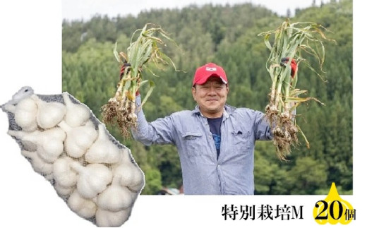 丸美農園 田子産特別栽培にんにく（M）20個