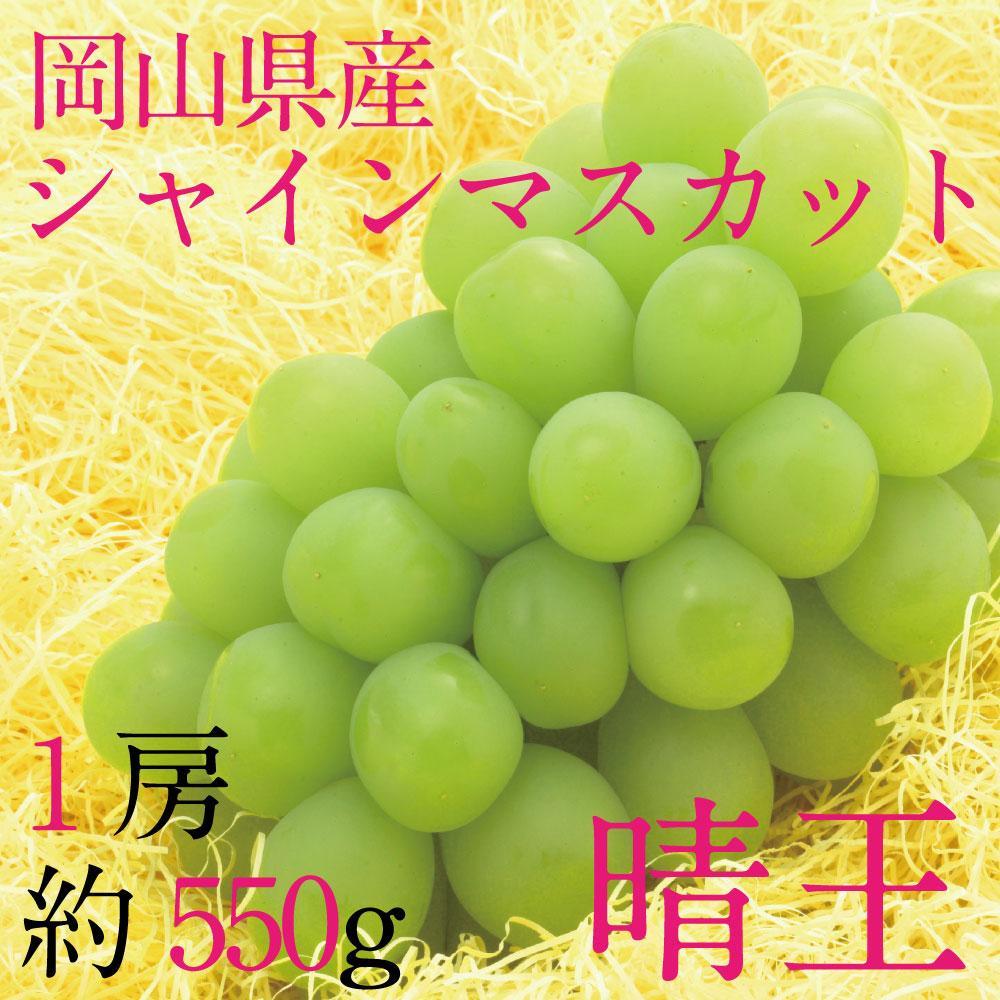 【ふるさと納税】[HS]ぶどう 2026年 9月・10月発送 シャイン マスカット 晴王 1房 約550g ブドウ 葡萄 岡山県産 国産 フルーツ 果物 ギフト | フルーツ 果物 くだもの 食品 人気 おすすめ 送料無料