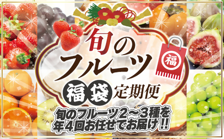 何が届くかお楽しみ！むなかた旬のフルーツ福袋定期便【年4回】【JAほたるの里】_HB0165