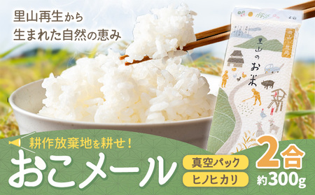 耕作放棄地を耕せ！ おこメール2合 約300g Life3091《30日以内に出荷予定(土日祝を除く)》｜米米米米米米米