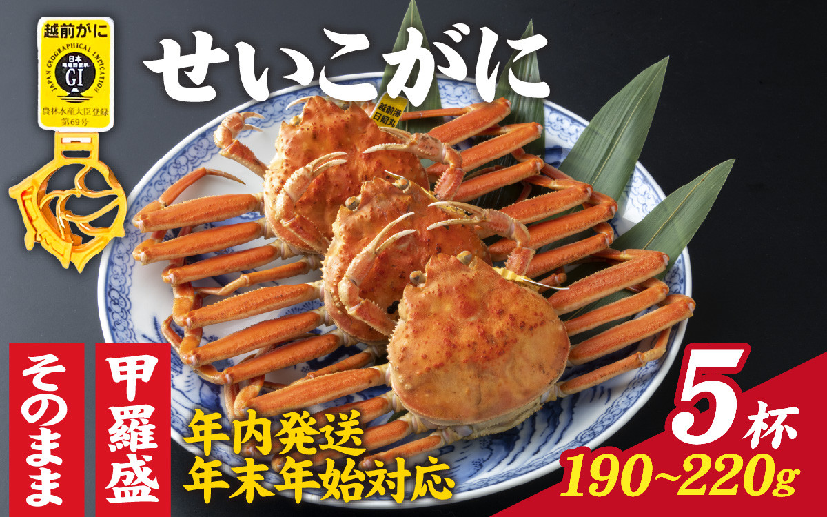 
【先行予約】選べる！美味しさ直送【成前特選】せいこがに（190g～220g）×5杯【年内発送・年末年始対応】【J-028011】
