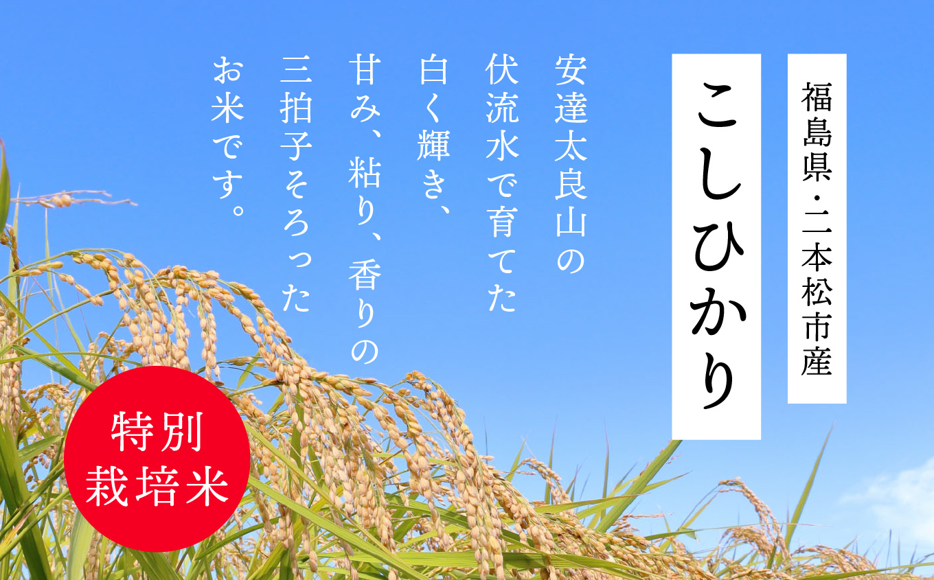 【定期便6ヶ月】二本松市産こしひかり5kg【株式会社あだたら米】