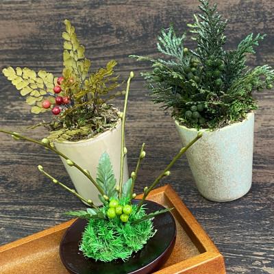 ふるさと納税 春日部市 プリザーブドフラワーアレンジ【ミニ盆栽・ミニ観葉植物 計3個セット】春日部市 シュガーパイン |  | 01