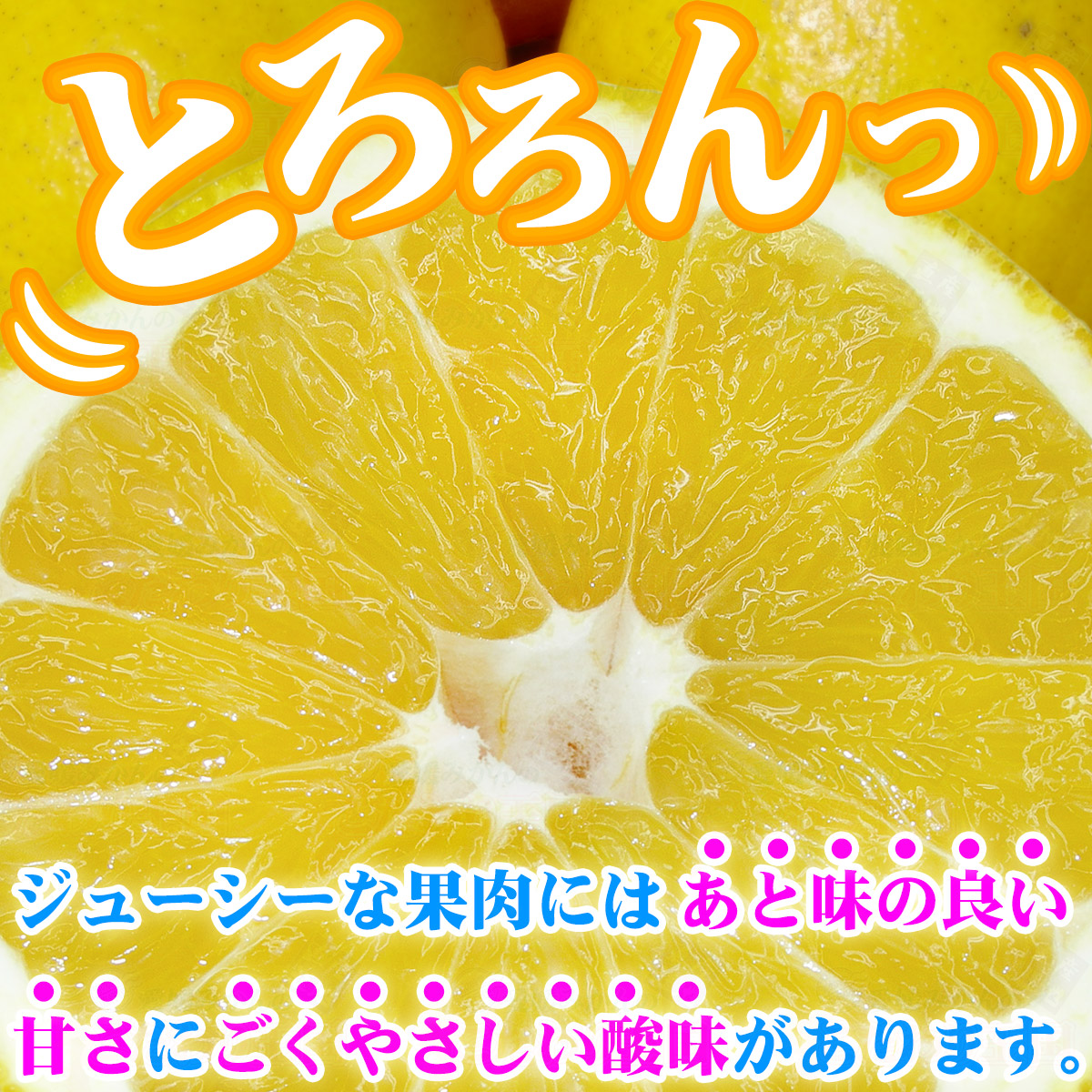 贈答用 河内晩柑 10kg L～2L サイズ 中井屋 愛媛みかん 先行予約 晩柑 かわちばんかん 和製 グレープフルーツ 愛媛ミカン 愛媛蜜柑 愛媛県産みかん 蜜柑 みかん mikan 爽やか 宇和島