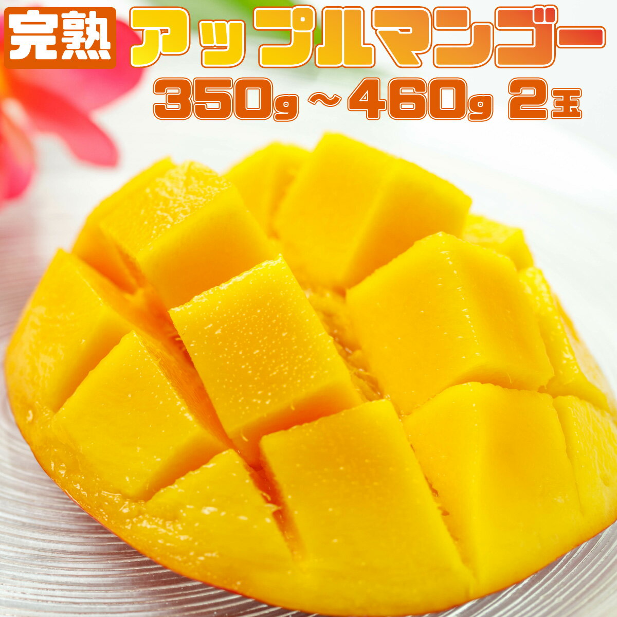 【ふるさと納税】＜2026年 先行予約＞完熟 アップルマンゴー 2L 350g～460g 2玉 マンゴー 果物 デザート 品評会連続入賞 2026年 発送 ますみ農園 【竹富町】 お届け：2026年6月下旬～7月下旬 005-a014_2026