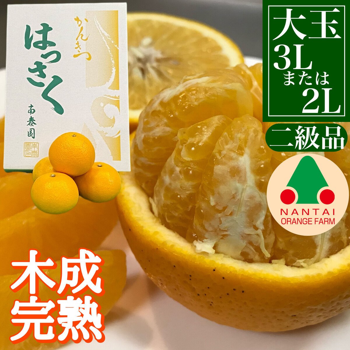 
            ちょっと 傷あり 4月 まで 木成 完熟 させた 有田 はっさく 大玉 3L × 6玉 または 2L × 7玉 化粧箱 南泰園 みかん
          