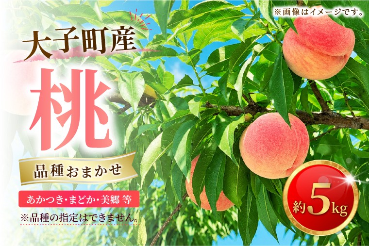
                  【先行予約・数量限定】大子町産「桃」約5kg 品種おまかせ（あかつき・まどか・美郷 等）｜茨城県 大子町 令和8年産 もも モモ フルーツ 果物 おまかせ 詰め合わせ 産地直送 旬 人気 厳選 奥久慈りんご園（AI009）
                