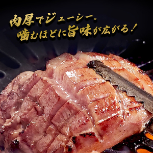 厚切り牛タン旨塩ダレ 1.5kg（300g×5） / 牛タン 牛肉 焼肉 綾部市 / 有限会社　タンバミート［BSDX023］