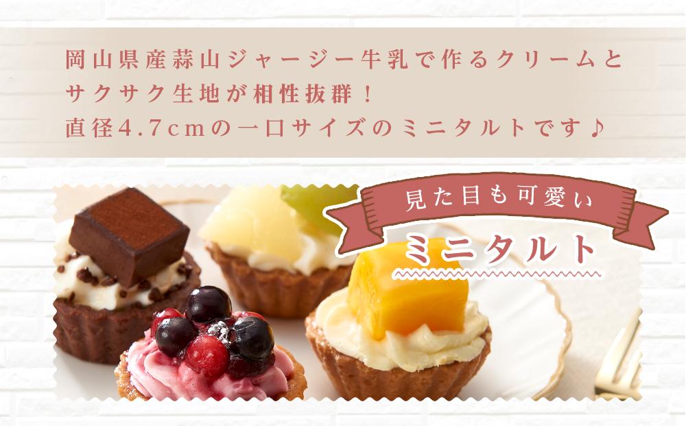 定期便 3ヶ月 フレッシュ タルト 専門店  STYLE 岡山みに たると 詰め合わせ 15個入り ケーキ タルト 詰合せ お菓子 スイーツ [No.5220-1493]