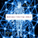 【ふるさと納税】究極の美肌エステ 利用券 体験 美容　【赤磐市】