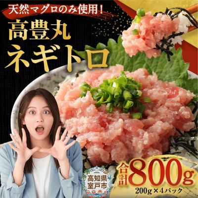 ふるさと納税 室戸市 ねぎとろ(まぐろのたたき) 小分けセット ネギトロ丼や海鮮丼などアレンジさまざま