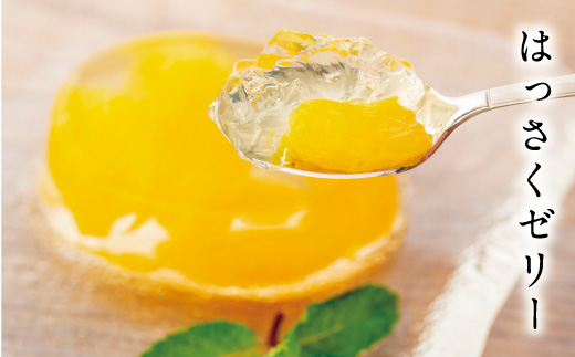 因島のはっさくゼリー72個入り