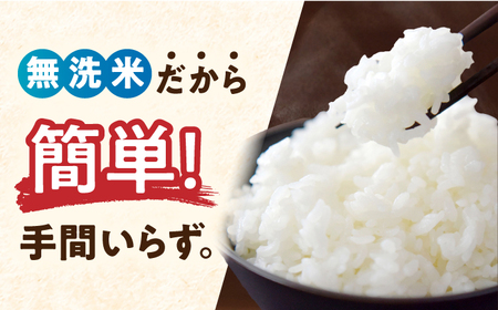 令和7年産 さがびより 無洗米 白米 計10kg（5kg×2袋）/ 白米 [41ACBW004]