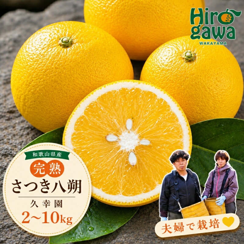 【ふるさと納税】 完熟 さつき 八朔 2kg 5kg 7kg 10kg 6000円 10000円 13000円 17000円 久幸園 / さつき八朔 はっさく 樹上完熟 完熟 木成り 柑橘 果物 くだもの フルーツ みかん 和歌山 有田 広川町 ※2027年4月上旬〜5月上旬頃に順次発送予定 //hassaku