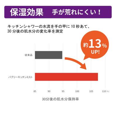 ふるさと納税 山県市 キッチンシャワー 「バブリーキッチンミスト(ホワイト)」マイクロナノバブル 節水 首振り SV24W |  | 03