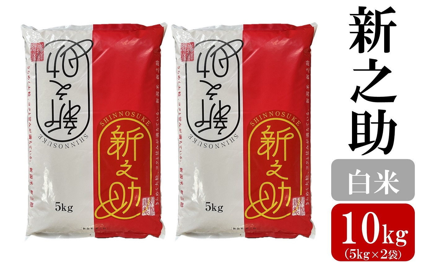 令和8年産新米【五ツ星お米マイスター厳選】新之助 白米 10kg（5kg×2袋）[Y0566]