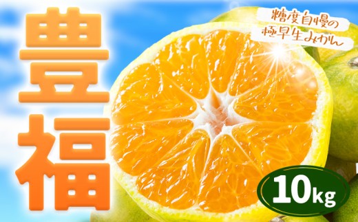 【先行予約】極早生みかん 「豊福」 10kg 箱入り 都呂々みかん生産者グループ《2026年10月中旬-11月下旬頃出荷》 フルーツ 果物 くだもの 柑橘 みかん ミカン 蜜柑 熊本県 苓北町【配送不可地域あり】