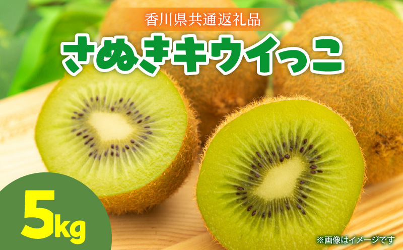 【先行予約】 さぬきキウイっこ5.0kg【香川県共通返礼品】|キウイ 果物 フルーツ デザート 旬 旬の果物 季節 季節の果物 人気 おすすめ 贈り物 贈答 プレゼント ご褒美 キウイフルーツ さぬきキウイ 香川 香川県 三木町 送料無料|_mk025-003