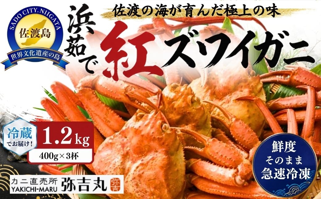 
                  佐渡島産 浜茹で紅ズワイガニ 1杯400g×3杯 冷蔵 産地直送 そのまま食べられる | 新潟県産カニ 佐渡産カニ 佐渡島産ずわいがに 紅ズワイガニ 紅ずわいがに ベニズワイガニ ズワイガニ カニ 蟹 かに ボイル 浜茹で 海鮮 魚介 魚介類 にいがた さど 新潟県 佐渡市
                