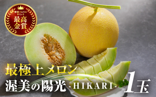 2026年先行予約　極上メロン 渥美の陽光-HIKARI-　めろん 果物 フルーツ 産地直送 愛知県 田原市