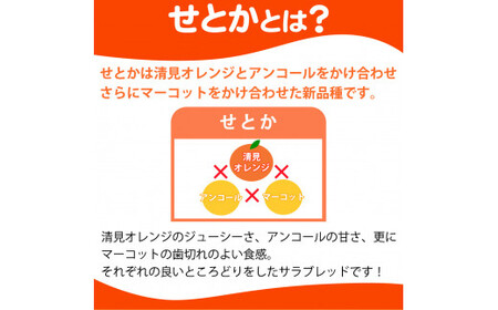 とろける食感 ジューシー柑橘 せとか 約2.5kg みかん 蜜柑 柑橘 オレンジ 果物 フルーツ 国産 和歌山県広川町 ※2027年1月下旬頃～2027年2月上旬頃に順次発送予定【uot789A】