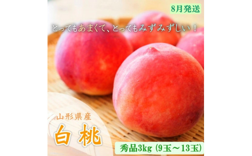山形市産 白桃 秀品 約3kg [やや硬め] 【令和7年産先行予約】FU23-035 くだもの 果物 フルーツ 山形 山形県 山形市 2025年産